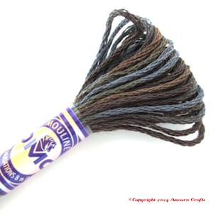 May include: A skein of DMC Mouline thread in a variegated colourway. The thread is a blend of brown, grey, and olive green hues. The label features the DMC logo and text. The thread is 8 metres in length.