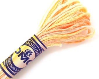 DMC 4090 Variegated Embroidery Floss Golden Oasis