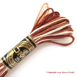 DMC 105 Variegated Embroidery Floss Brown Shaded Ombre