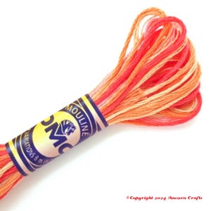 DMC 4120 Variegated Embroidery Floss Tropical Sunset