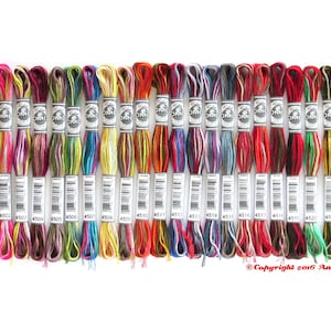 DMC Coloris Variegated Embroidery Floss - 24 Color Collection Bundle