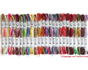 DMC Coloris Variegated Embroidery Floss - 24 Color Collection Bundle