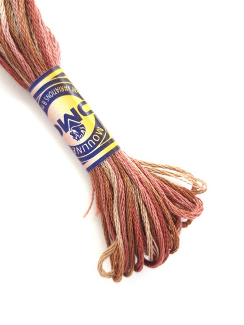 DMC 4140 Variegated Embroidery Floss Driftwood Etsy