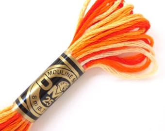 DMC 51 Variegated Embroidery Floss Burnt Orange Shaded Ombre