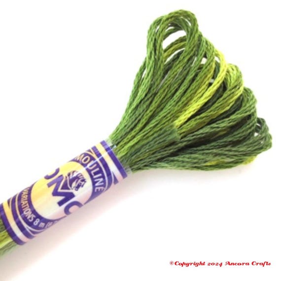 DMC 4066 Variegated Embroidery Floss Amazon Moss - Etsy