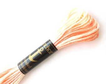 Anchor 1318 Variegated 6 Strand Floss Apricot Melange