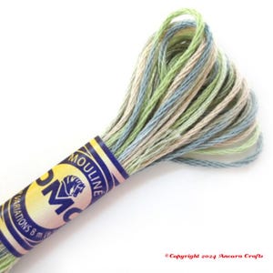 May include: A skein of DMC embroidery floss in a multi-colored variegated shade. The floss is wound around a cardboard spool with a blue and yellow label that reads "DMC Mouline" and "Variations 8 m 18 yds".