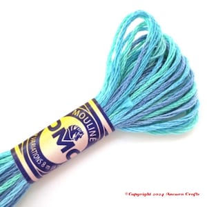 DMC 4030 Variegated Embroidery Floss Monet&#39;s Garden