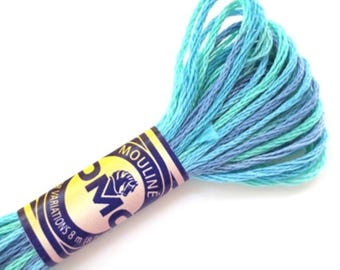 DMC 4030 Variegated Embroidery Floss Monet's Garden
