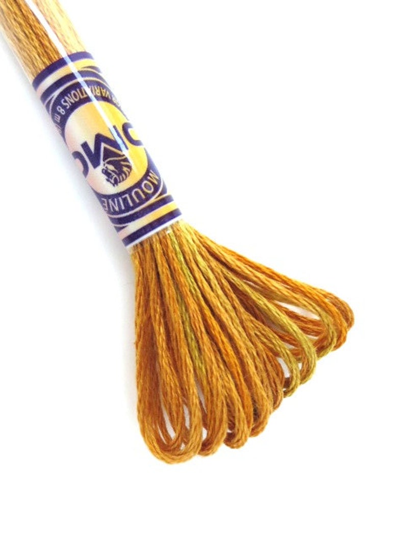 DMC 4129 Variegated Embroidery Floss Peanut Brittle Etsy
