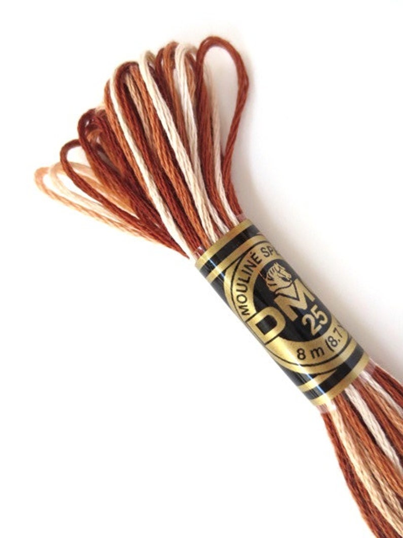 DMC 105 Variegated Embroidery Floss Brown Shaded Ombre Etsy
