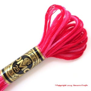 Dmc 107 Thread DMC 107 Variegated Embroidery Floss Red Carnation Shaded Ombre - Etsy