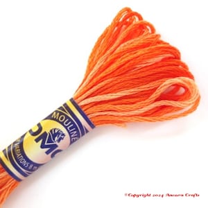 DMC 4124 Variegated Embroidery Floss Bonfire