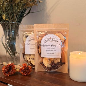 Autumn Harvest Simmer Pot Kit, Fall Simmer Pot Kit, Apple Cinnamon Stovetop Potpourri, Cozy Fall Gift