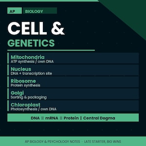 May include: A dark teal graphic with white text that reads "CELL & GENETICS." Below, it lists cell components: Mitochondria, Nucleus, Ribosome, Golgi, and Chloroplast. The bottom of the graphic says "DNA mRNA Protein | Central Dogma."