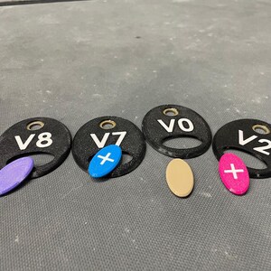 Peut inclure: Quatre étiquettes noires ovales avec le texte blanc "V8", "V7", "V0" et "V2". Chaque étiquette a un trou en haut. Quatre petites pièces ovales colorées : violet, bleu, beige et rose. Sur fond gris.