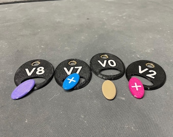 Gekleurde inzetstuk met microchip voor Greenhawk Designs Rock Gym-beoordelingstags