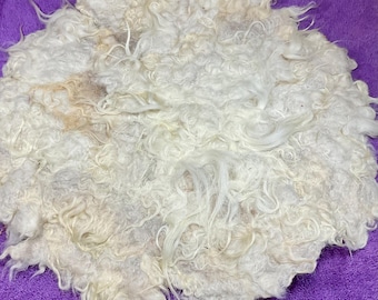 Wool Felted Pet Bed Pet Gift Wool Rug Accessory Needle Felt Mat Free Shipping