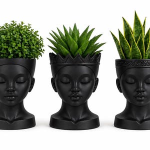 Puede incluir: Tres macetas decorativas negras con forma de cabeza, cada una con una planta diferente. Las macetas tienen forma de rostros serenos con los ojos cerrados. Una contiene una planta verde y frondosa, otra una suculenta espinosa y la tercera una sansevieria con bordes amarillos.