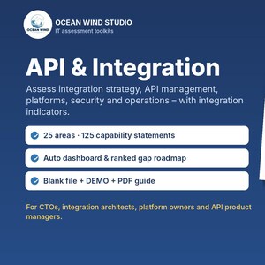 API & Integration Maturity Assessment | Excel Toolkit for CTOs (Digital Download)