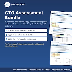 CTO Technology Assessment Bundle: 11 Excel Templates for Enterprise Architecture (Digital Download)