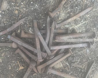 Roestige spoorwegspikes