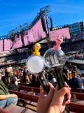 BTS BT21 Inspired Lightstick Topper V4