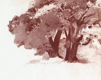 Oak Tree Sketch Giclee Print