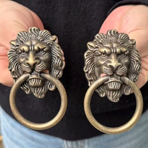 Könnte beinhalten: Zwei Türklopfer aus antikfarbenem Messingmetall, die jeweils ein detailliertes Löwenkopfdesign mit einem im Maul gehaltenen kreisförmigen Ring aufweisen. Das Finish hat ein verwittertes, metallisches Aussehen mit dunklen Akzenten.