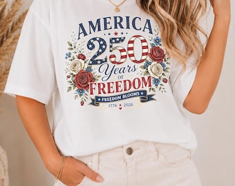 Zwarte hoodie VS 250, hoodie Amerika 250e verjaardag, 1776 2026 patriottische trui, vintage Route 66 VS-hoodie