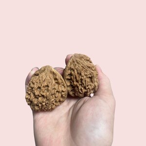 May include: Two halves of a brown walnut, held in a hand against a soft pink background. The walnut shells have a textured, ridged surface.