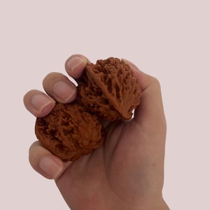 May include: Two brown walnuts held in a hand. The walnuts have a textured surface and are a medium brown color. The background is a light pink.