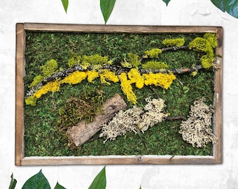 Moss Wall Art. Moss Wall. Preserved Moss. Wall Garden. Art Home Decor. Art with Flowers. Large home decor. Recycled Wood