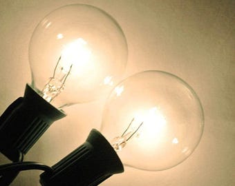 Replacement Bulbs