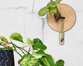 Living Wall Art