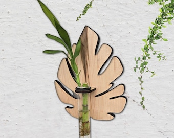 Monstera plant swirl wood wall art living plant propagation water plants; mid century, boho, customized, propagation station, wall vase