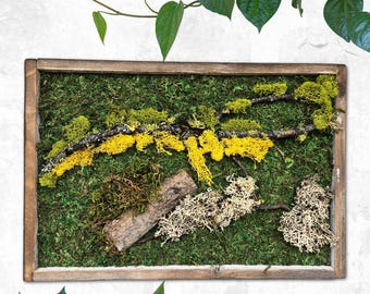 Moss wall art. moss wall. preserved moss. wall garden. art home decor. art with flowers. large home decor. recycled wood