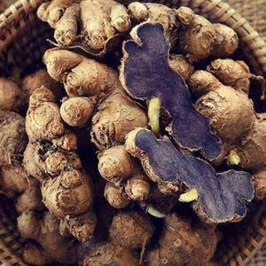 May include: A basket filled with brown ginger roots, some whole and some sliced open to reveal a dark purple interior. The ginger has a rough, textured appearance, with a few green sprouts visible.