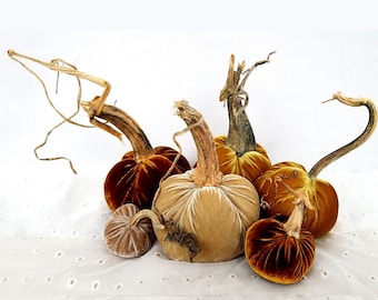 Silk Velvet Pumpkins Real Pumpkin Stems Fall Home Mantle Decor Wedding Pumpkins Thanksgiving Table Centerpiece Hostess Gift Many Fall Colors