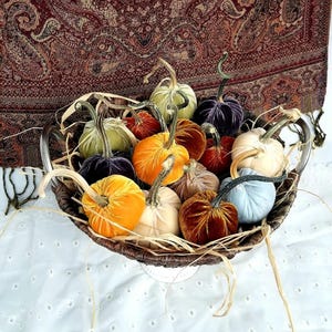 May include: A collection of small, plush velvet pumpkins in various colors including orange, yellow, green, blue, purple, and cream, each featuring a realistic stem. The pumpkins are arranged inside a dark brown woven basket with metal handles.
