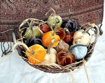 Petite Velvet Pumpkins with Real Pumpkin Stems Thanksgiving Table Centerpiece Fall Wedding Autumn Home Mantle Decor Hostess Gift for Mom