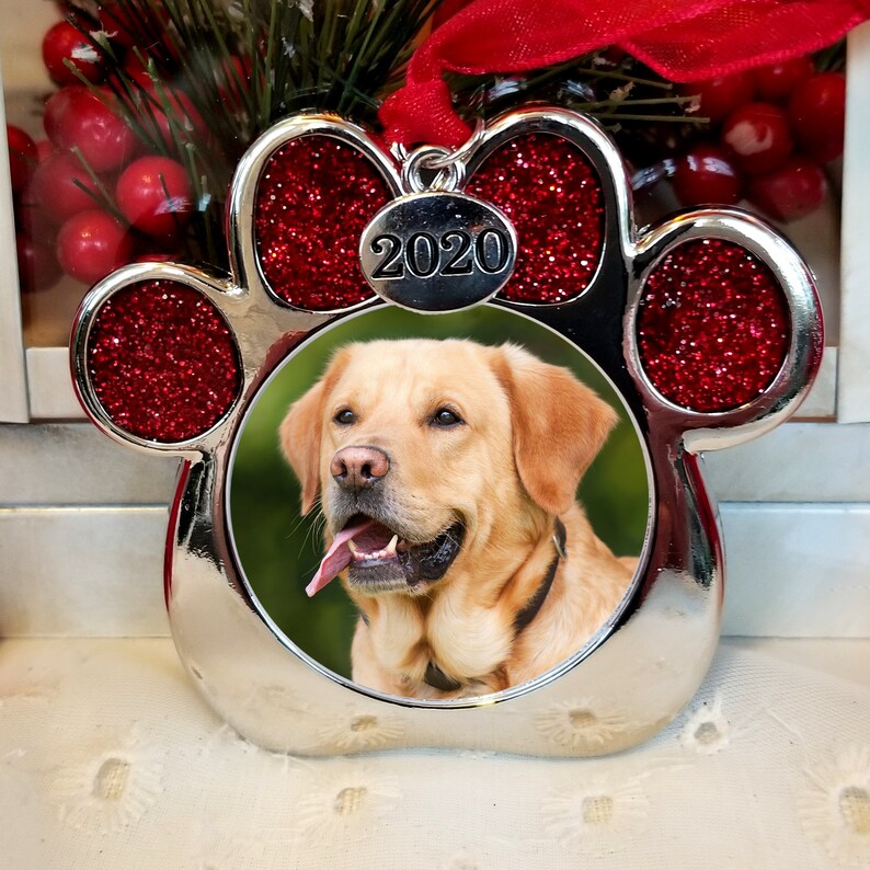Pu&ograve; includere: Ciondolo natalizio a forma di zampa d'animale in argento con sfondo glitterato rosso e una foto di un labrador retriever giallo all'interno. Il ciondolo ha un ciondolo argentato con l'anno 2020 su di esso.