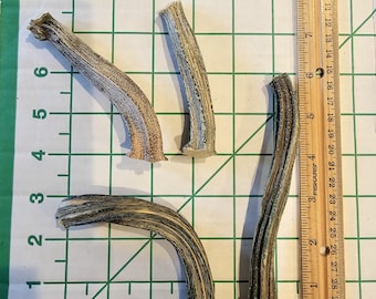 Dried Pumpkin Stems 4 stems, more in my shop