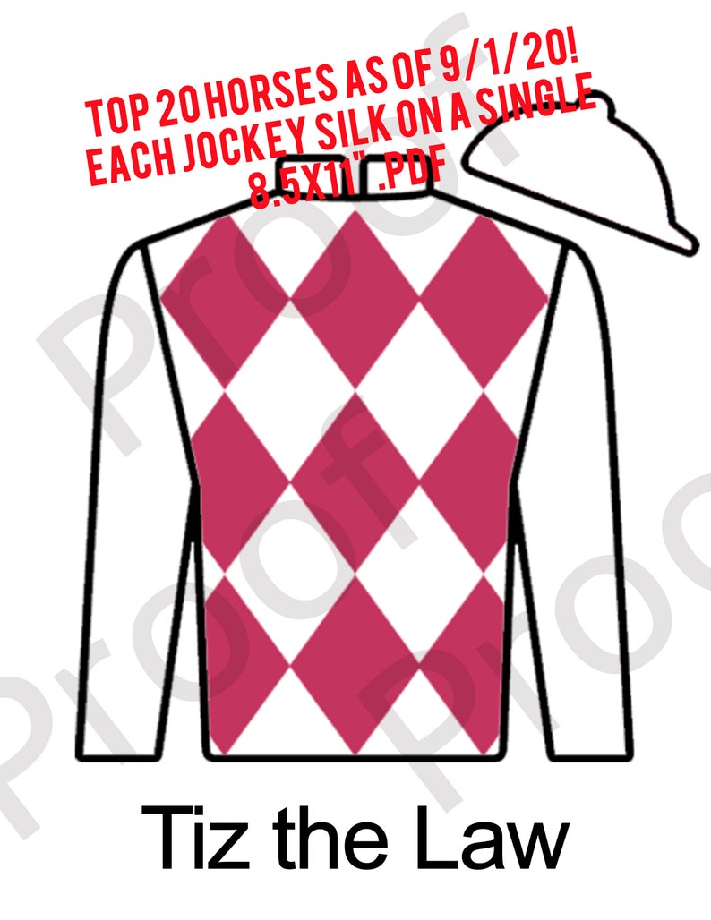 Kentucky Derby Party Printable Leaderboard Jockey Jersey Silks | Etsy