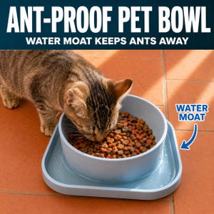 May include: A light blue ant-proof pet bowl featuring a central circular food container surrounded by a square water moat base. The text ANT-PROOF PET BOWL, WATER MOAT KEEPS ANTS AWAY, and WATER MOAT with an arrow are visible on the image.