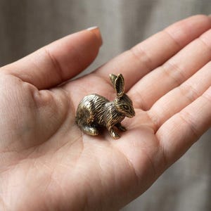 May include: A small, metallic, gold-toned figurine of a rabbit in a seated position. The sculpture features detailed, textured fur markings across its body, pointed ears, and a defined facial structure, showcasing a polished, reflective surface finish.