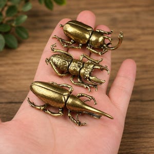 May include: Three small, antique brass-coloured metal beetle figurines with detailed textures. Each beetle features distinct anatomical shapes, including prominent mandibles and segmented legs, finished with a weathered, metallic gold patina.