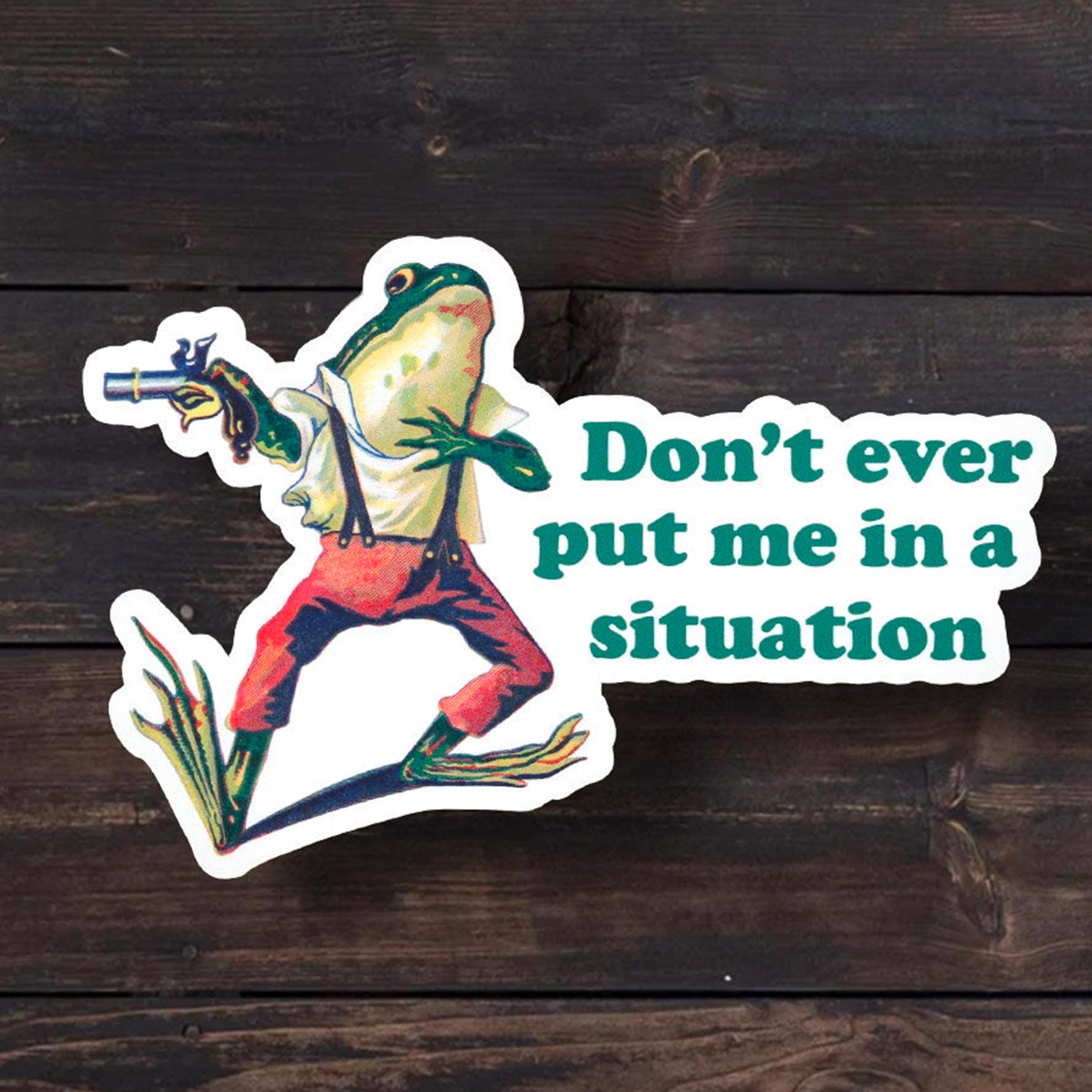 Funny Frog Meme Sticker: Water Bottle, Laptop Decal - Etsy