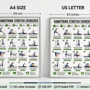 以下が含まれることがあります： Hamstring Stretch Exercisesと題された白い説明用ポスター。様々なストレッチを行う人物の番号付きイラストが16点掲載されています。ポスターには、210mm x 297mmのA4サイズと、8.5インチ x 11インチのUSレターサイズが記載されています。