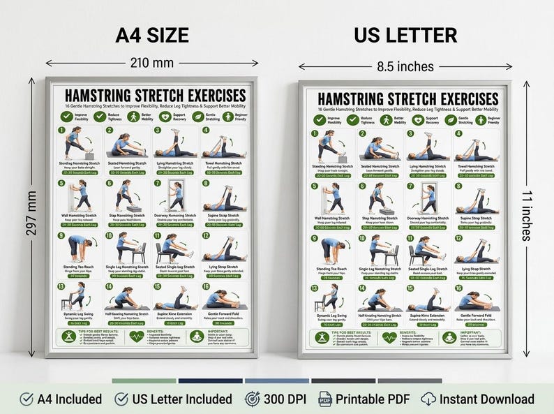以下が含まれることがあります： Hamstring Stretch Exercisesと題された白い説明用ポスター。様々なストレッチを行う人物の番号付きイラストが16点掲載されています。ポスターには、210mm x 297mmのA4サイズと、8.5インチ x 11インチのUSレターサイズが記載されています。